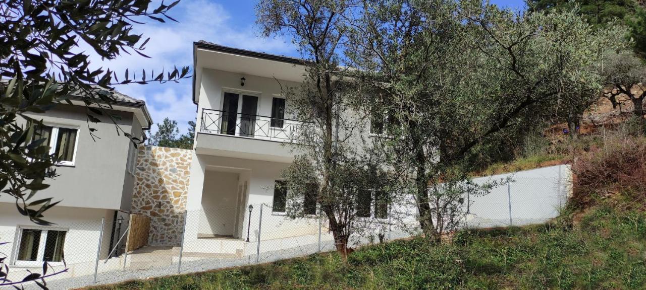 Evergreen Thassos Skala Potamia  Extérieur photo